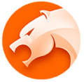 猎豹浏览器 v7.1.3622 官方版