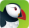 Puffin Browser(多功能浏览器) v8.2.1.666