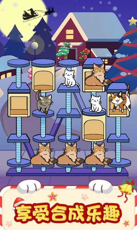 猫咪房东游戏下载