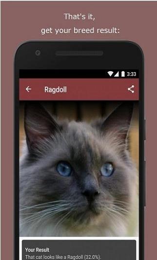 猫咪鉴定器app下载